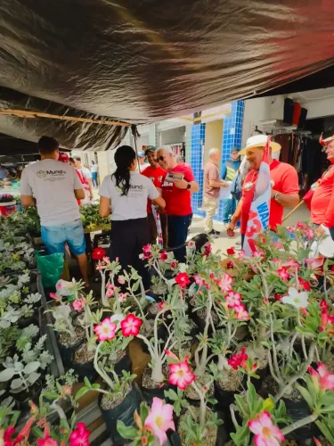 Visita a feira de Caetité — foto 52