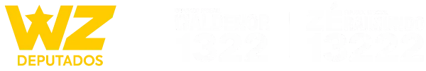 WALDENOR e ZÉ RAIMUNDO